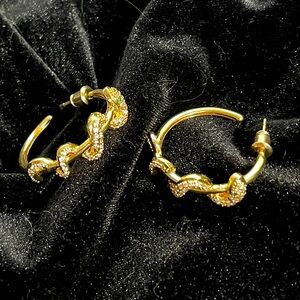 Beautiful CZ snake hoop earrings